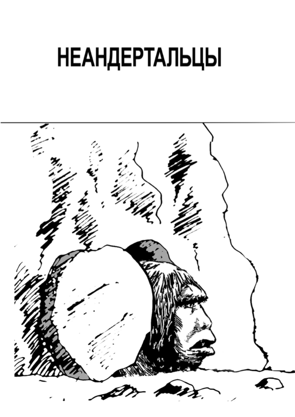 Обложка: Неандертальцы